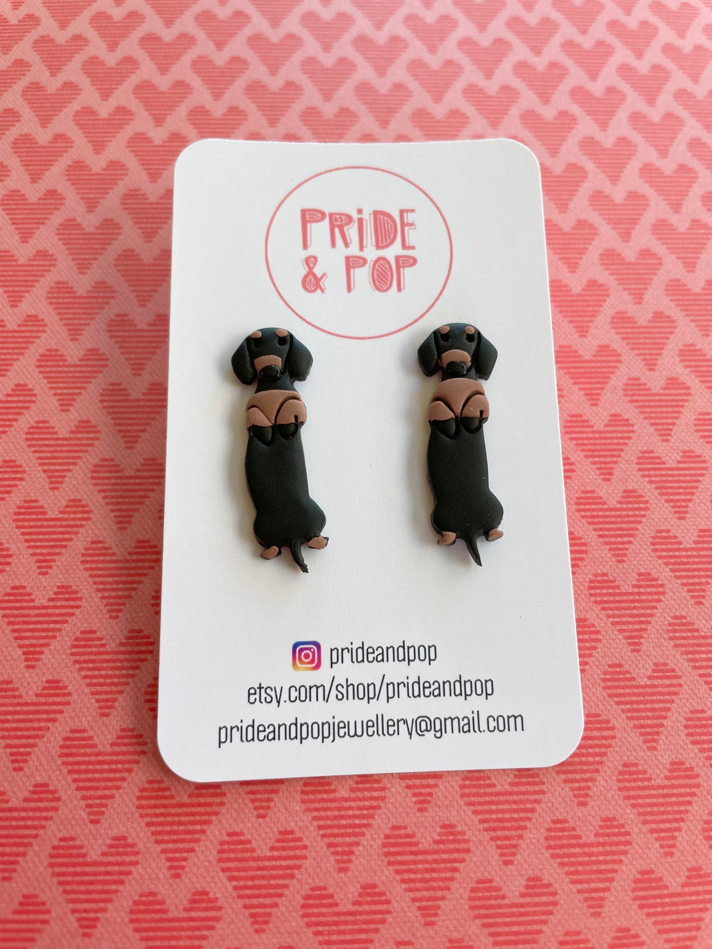 Cute Long Dachshund Studs